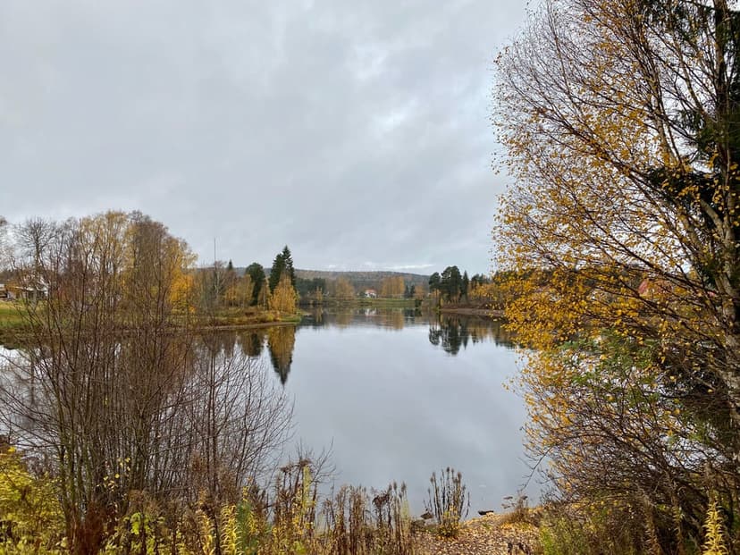 Avisering för medlemskapet 2021